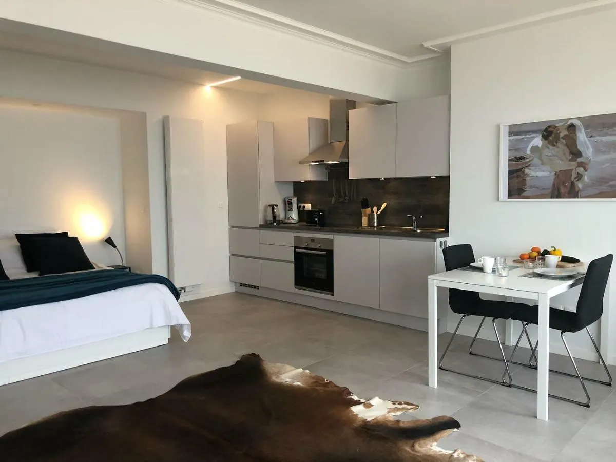 Seaview Loft Appartement Oostende